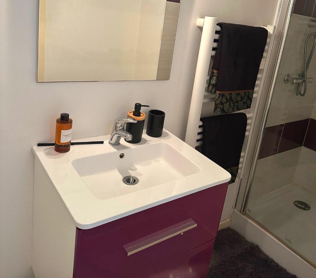 L'Oasis Cosy Appartement Villeurbanne Buitenkant foto